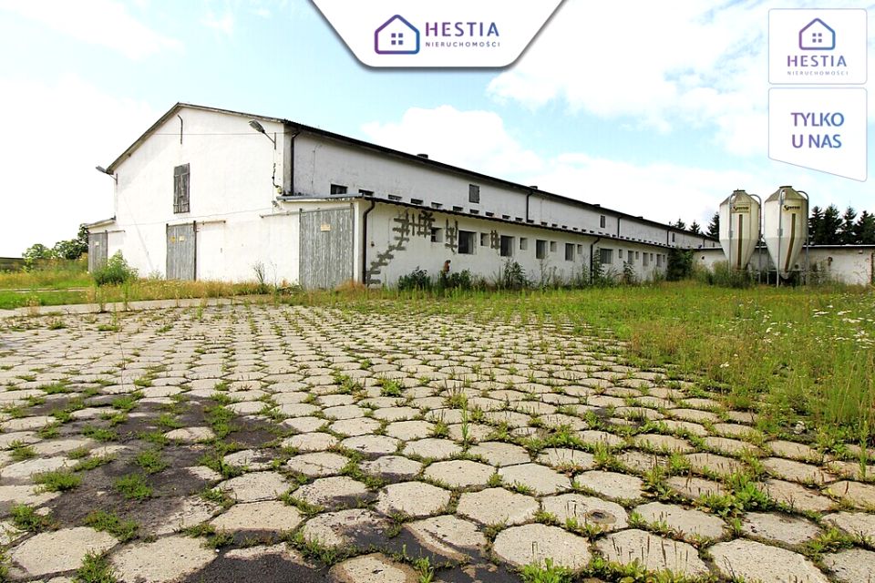 Budynek użytkowy Strzyżno sprzedaż