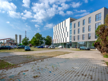 Lokal Wrocław