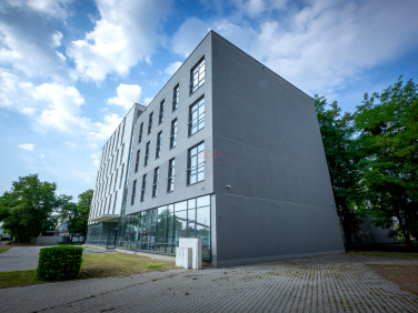 Lokal Wrocław