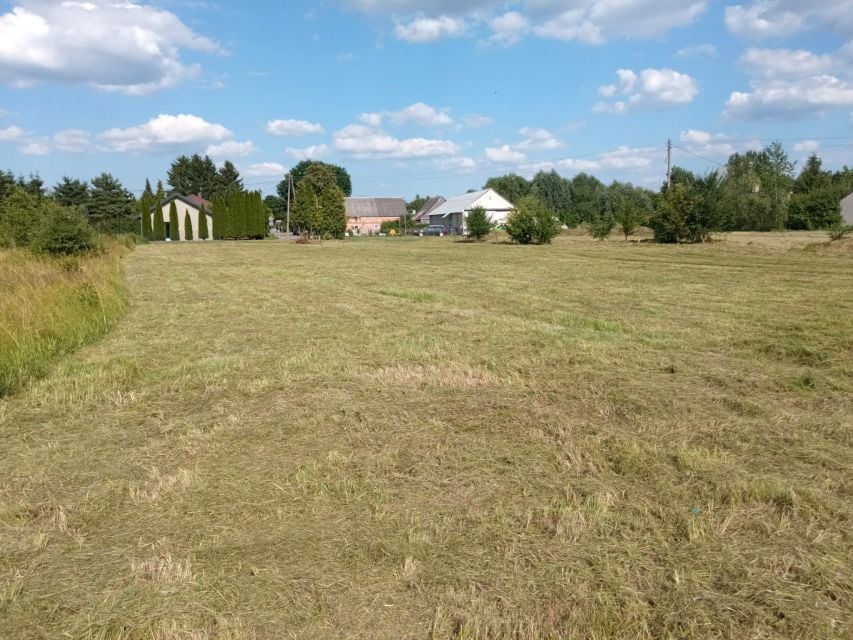 Zdjęcie 3