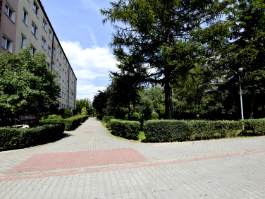 Mieszkanie Toruń