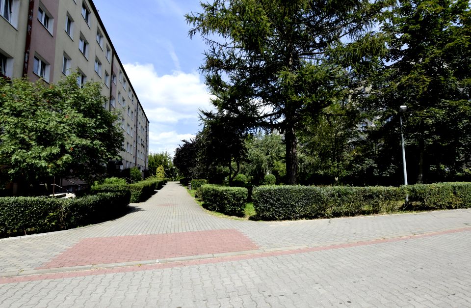 Mieszkanie Toruń