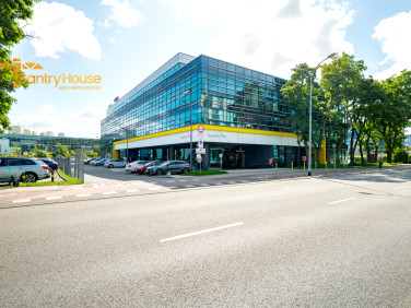 Lokal Gdynia