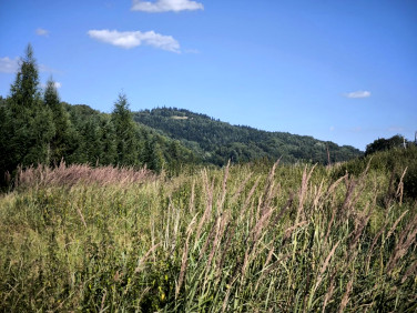 Działka inna Juszczyna
