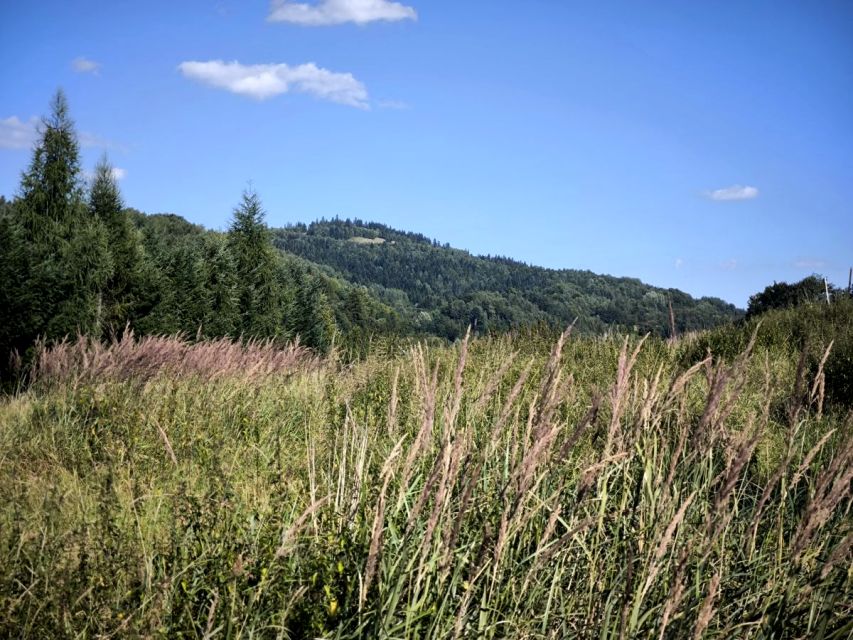 Działka inna Juszczyna