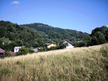 Działka Juszczyna