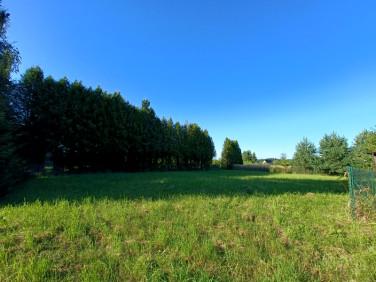 Działka budowlana Grodziec