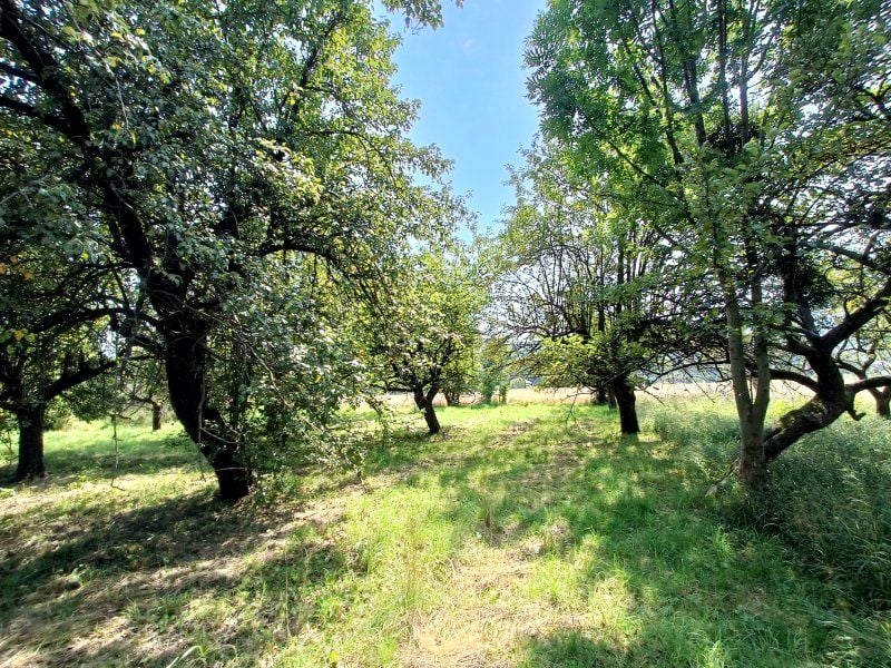 Działka Ustroń