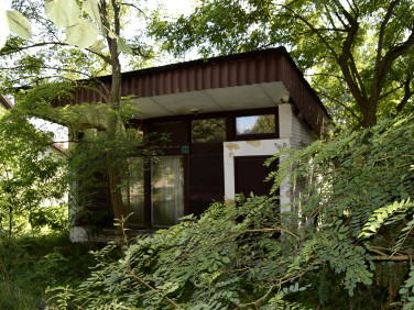 Działka budowlana Białowieża