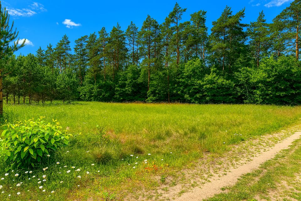 Działka budowlana Gliśnica