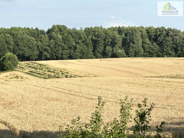 Działka budowlano-rolna Opatów