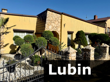 Dom Lubin