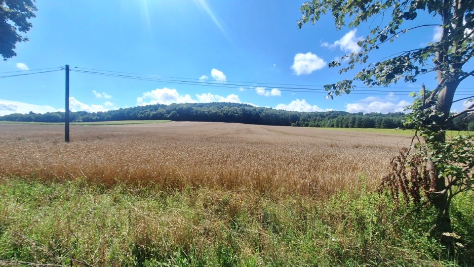 Działka rolna Czułówek