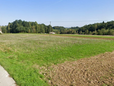 Działka budowlana Siołkowa