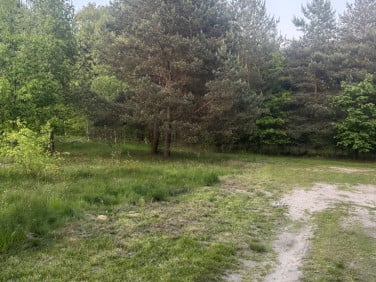 Działka przy lesie