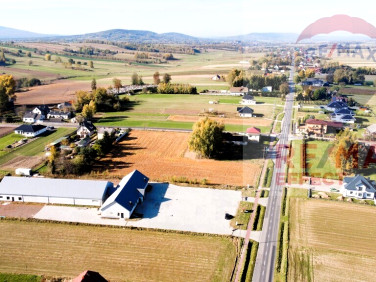 Lokal Tarczek
