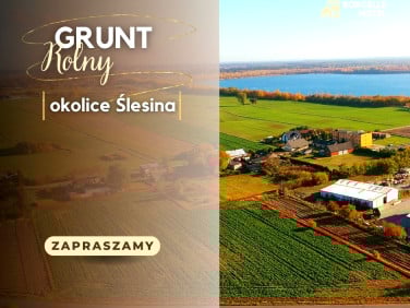 Działka rolna Ślesin