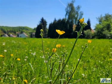 Działka budowlano-rolna Tomaszkowice sprzedam