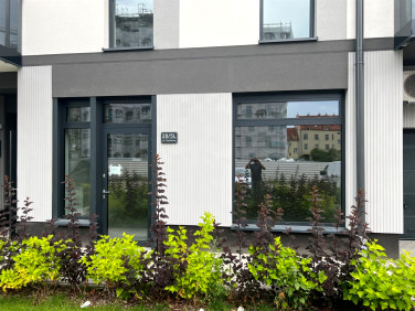 Lokal Piła