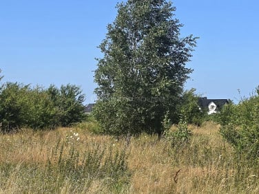 Działka budowlana Strzelno