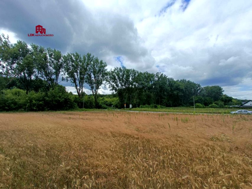 Działka Przytok