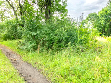 Działka budowlana Racibórz sprzedam