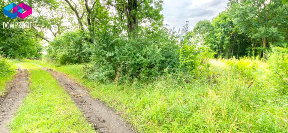 Działka budowlana Racibórz sprzedam