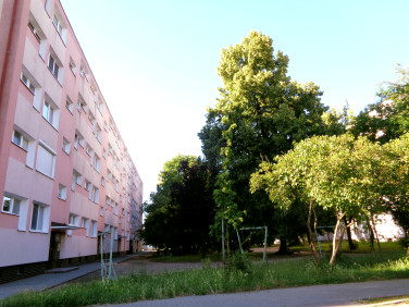 Mieszkanie Konin sprzedaż