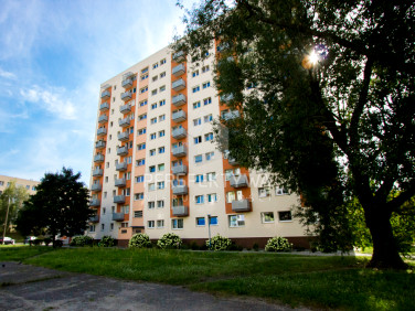 Mieszkanie Zielona Góra