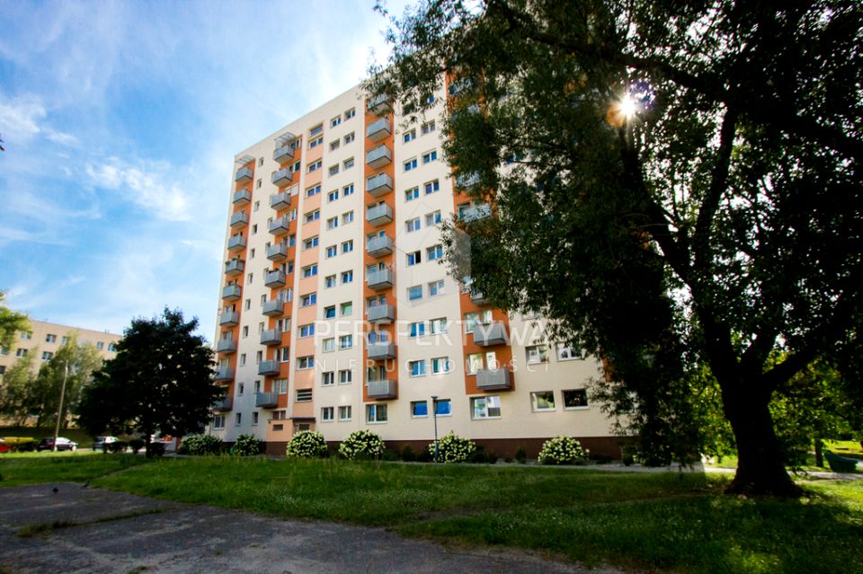 Mieszkanie Zielona Góra