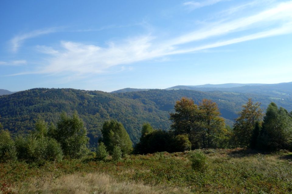 Działka inwestycyjna Brenna