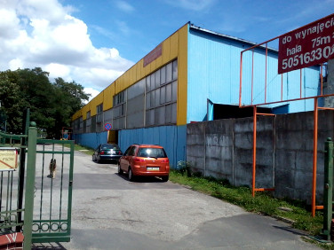 Lokal Strzegom