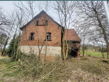 Dom Pastewnik