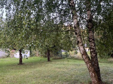 Działka Pruszewiec