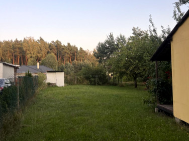 Działka Pruszewiec