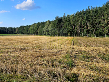 Działka budowlana Petrykozy