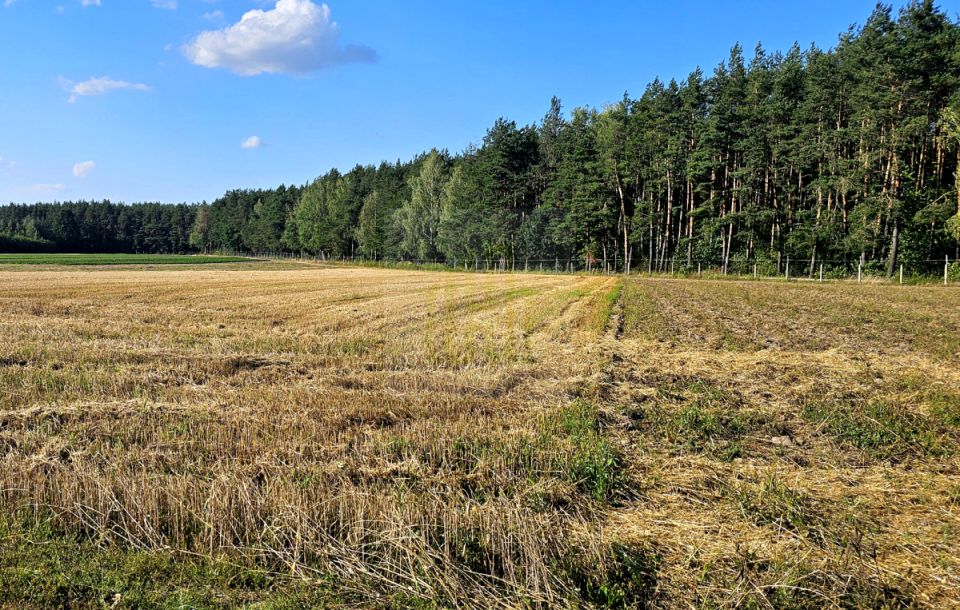 Działka budowlana Petrykozy