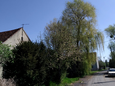 Działka Smolec