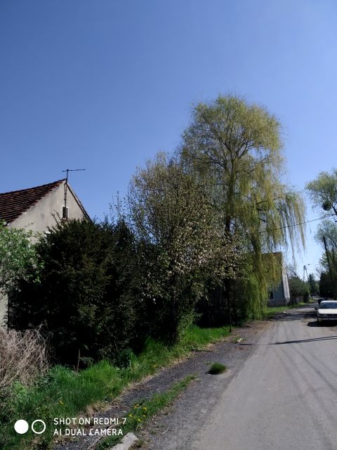 Działka Smolec