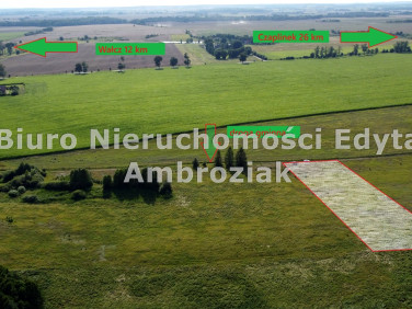 Zalesiona działka Golce