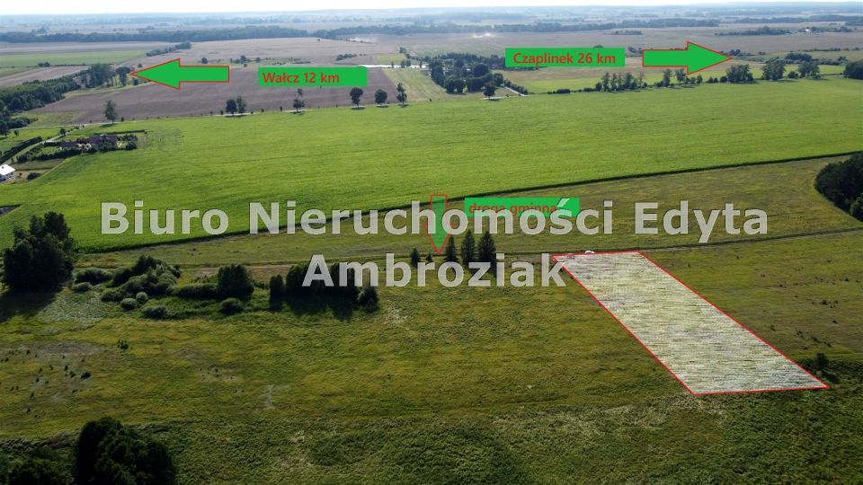 Zalesiona działka Golce