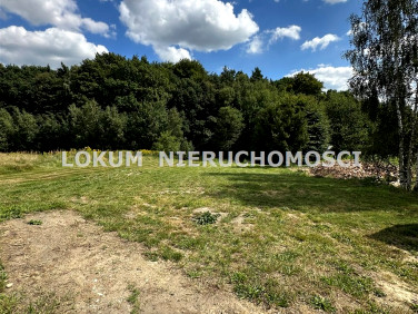 Działka Skrzyszów