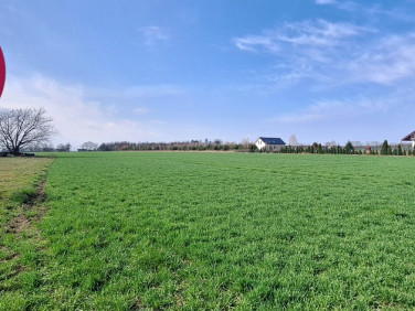 Działka Miodary