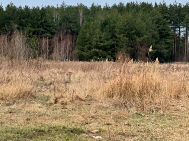 Działka usługowa Sieraków