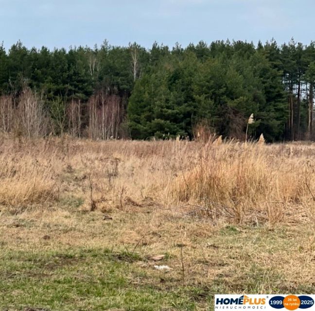 Działka usługowa Sieraków