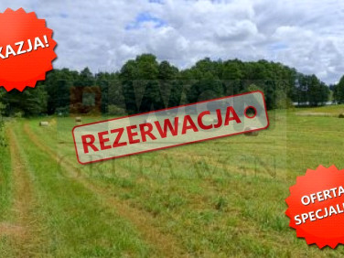 Działka rolna Kleszczewo