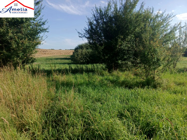 Działka inwestycyjna Morąg