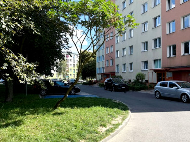 Mieszkanie Jelenia Góra