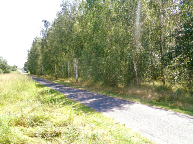 Działka budowlana Skulsk sprzedam