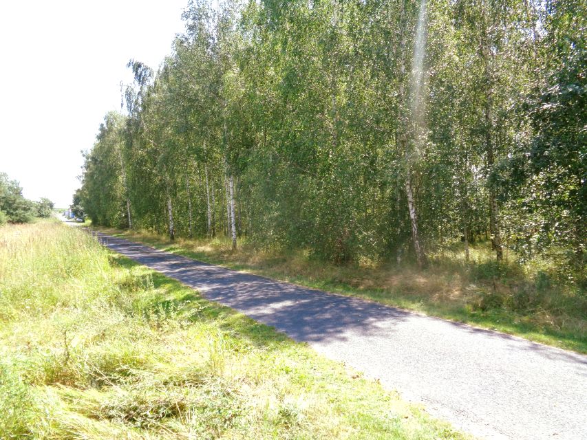 Działka budowlana Skulsk sprzedam